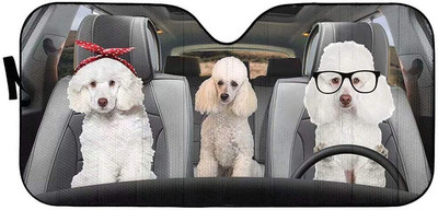 Sieviešu acis ar garām skropstām priekšējā vējstikla ēna grims rozā mirdzoša acu ēnas drukas saliekamais saulessargs sedan kravas apvidus auto