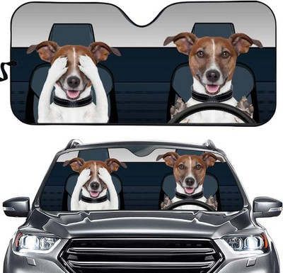 Sieviešu acis ar garām skropstām priekšējā vējstikla ēna grims rozā mirdzoša acu ēnas drukas saliekamais saulessargs sedan kravas apvidus auto