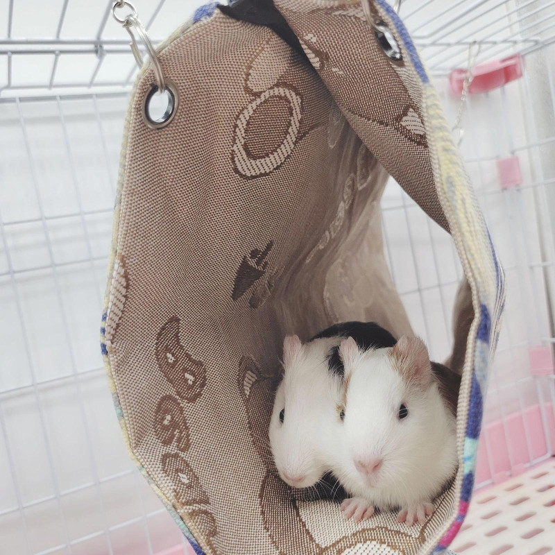 40*15 cm Hamster Viseća mreža Tunel Cvjetni tisak Male životinje Toplo platno Viseći krevet Kavez Dodaci Nest Tube Proizvodi za kućne ljubimce