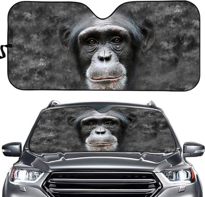 Parasolar personalizat pentru parbriz frontal auto Daisy - blocheaza razele UV Protector parasolar - Parasolar automat pliabil acordeon pt.