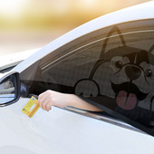 2 DB autós napernyő oldalsó ablak napernyő Auto UV védő függöny perspektivikus háló szúnyog elleni tépőzáras univerzális autós kiegészítők