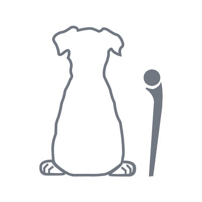 Διακοσμητικά αυτοκόλλητα υαλοκαθαριστήρα πίσω παρμπρίζ αυτοκινήτου Puppy Dog , Αυτοκόλλητο τέχνης βινυλίου σκύλου ζώων για αστεία διακόσμηση προφυλακτήρα αυτοκινήτου φορτηγού