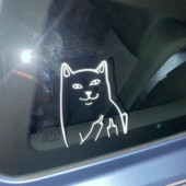 MAČKA srednji prst, SMJEŠNO, naljepnica s naljepnicom, vinilna naljepnica, prozor automobila, branik automobila, MacBook, boca s vodom