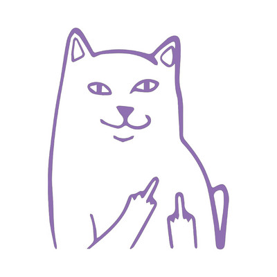 MAČKA srednji prst, SMJEŠNO, naljepnica s naljepnicom, vinilna naljepnica, prozor automobila, branik automobila, MacBook, boca s vodom