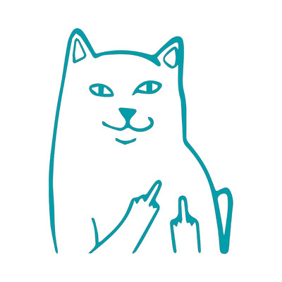 MAČKA srednji prst, SMJEŠNO, naljepnica s naljepnicom, vinilna naljepnica, prozor automobila, branik automobila, MacBook, boca s vodom