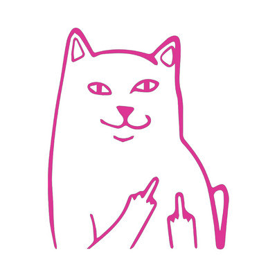 MAČKA srednji prst, SMJEŠNO, naljepnica s naljepnicom, vinilna naljepnica, prozor automobila, branik automobila, MacBook, boca s vodom