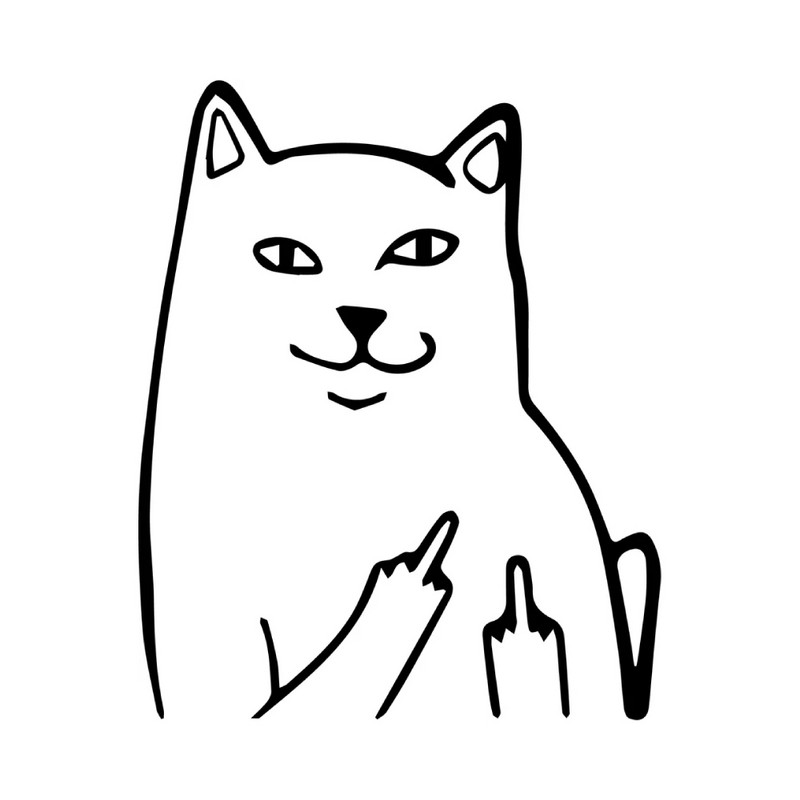 MAČKA srednji prst, SMJEŠNO, naljepnica s naljepnicom, vinilna naljepnica, prozor automobila, branik automobila, MacBook, boca s vodom