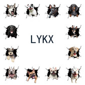 LYKX 3D francia bulldog kutya törött ablak szakadt autómatricák matricák külső kiegészítők vinil matricák