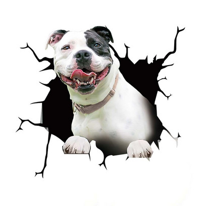 LYKX 3D francia bulldog kutya törött ablak szakadt autómatricák matricák külső kiegészítők vinil matricák