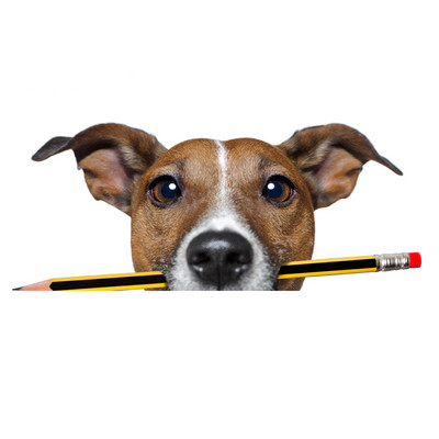 Autocolante realiste pentru mașină Jack Russell Terrier Autocolant Placă de surf Decal Fine Graffiti Autocolant Vinil Material Impermeabil Decorare