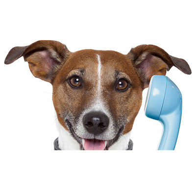 Autocolante realiste pentru mașină Jack Russell Terrier Autocolant Placă de surf Decal Fine Graffiti Autocolant Vinil Material Impermeabil Decorare