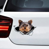 LYKX yorkshire terrier kisállat kutya formáló személyiség matrica szakadt fém vinyl matrica állat autó matricák ablak lökhárító