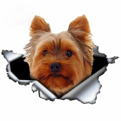 LYKX yorkshire terrier kisállat kutya formáló személyiség matrica szakadt fém vinyl matrica állat autó matricák ablak lökhárító