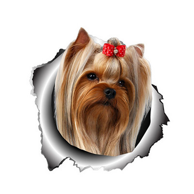 LYKX yorkshire terrier kisállat kutya formáló személyiség matrica szakadt fém vinyl matrica állat autó matricák ablak lökhárító