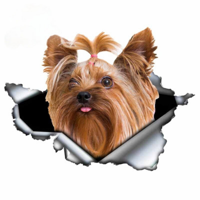 LYKX yorkshire terrier kisállat kutya formáló személyiség matrica szakadt fém vinyl matrica állat autó matricák ablak lökhárító