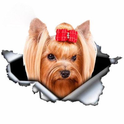 LYKX yorkshire terrier kisállat kutya formáló személyiség matrica szakadt fém vinyl matrica állat autó matricák ablak lökhárító