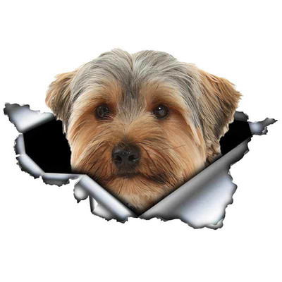 LYKX yorkshire terrier kisállat kutya formáló személyiség matrica szakadt fém vinyl matrica állat autó matricák ablak lökhárító