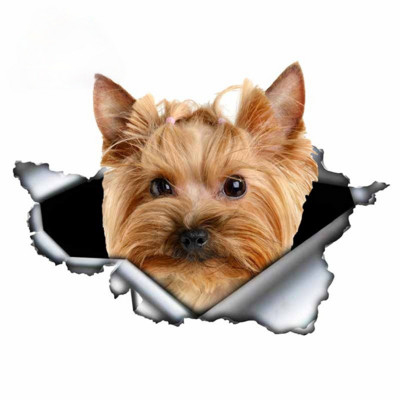 LYKX yorkshire terrier kisállat kutya formáló személyiség matrica szakadt fém vinyl matrica állat autó matricák ablak lökhárító