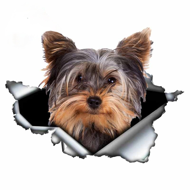 LYKX yorkshire terrier kisállat kutya formáló személyiség matrica szakadt fém vinyl matrica állat autó matricák ablak lökhárító