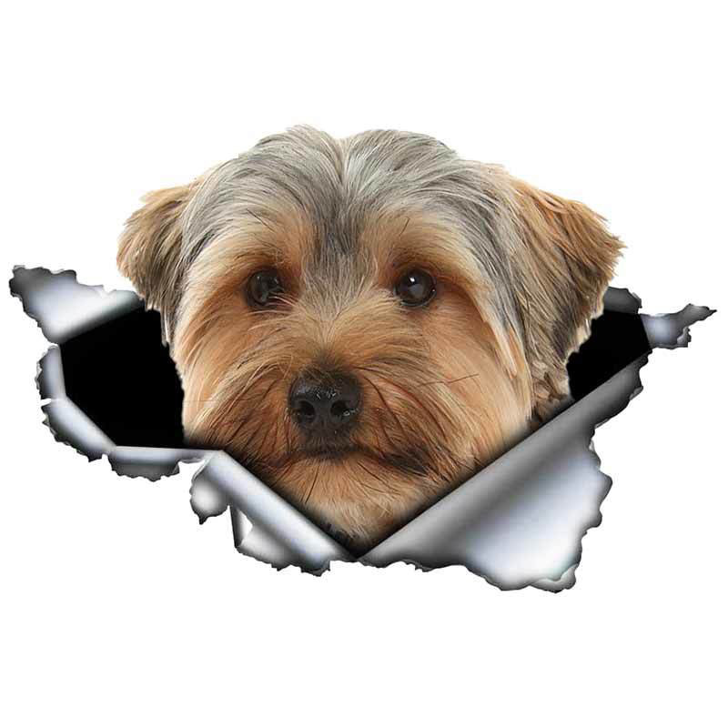 LYKX yorkshire terrier kisállat kutya formáló személyiség matrica szakadt fém vinyl matrica állat autó matricák ablak lökhárító