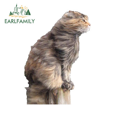EARLFAMILY 13 cm x 12 cm-es autós autómatricák Yorkshire terrier kutyához, szélben fúj Vicces matrica RV VAN JDM dekormatricák