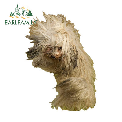 EARLFAMILY 13 cm x 12 cm-es autós autómatricák Yorkshire terrier kutyához, szélben fúj Vicces matrica RV VAN JDM dekormatricák
