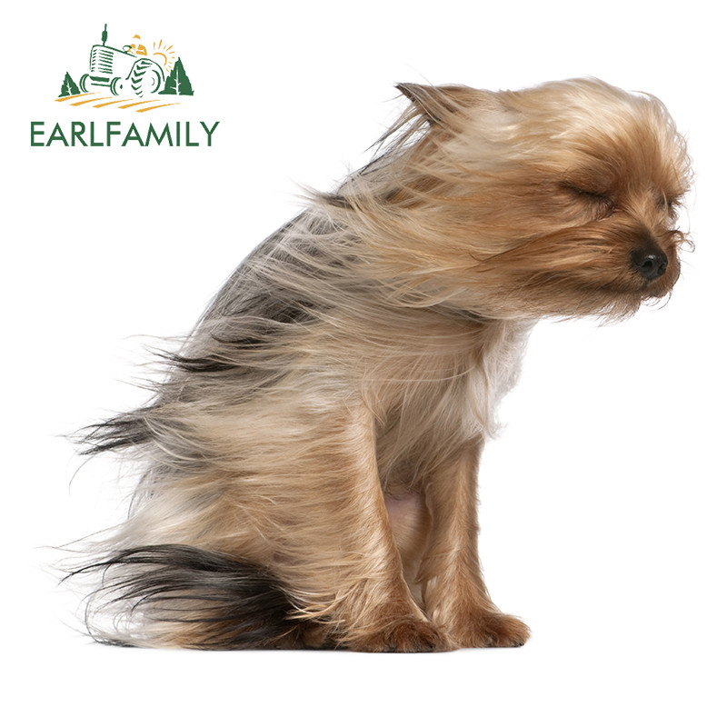 EARLFAMILY 13 cm x 12 cm-es autós autómatricák Yorkshire terrier kutyához, szélben fúj Vicces matrica RV VAN JDM dekormatricák