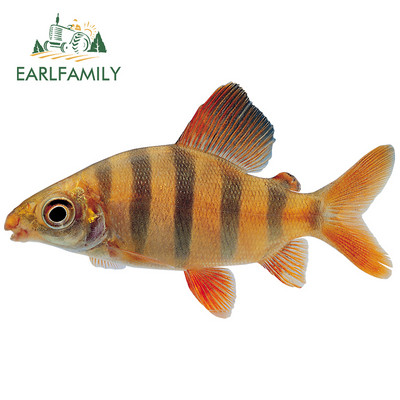 EARLFAMILY 13 cm x 7,1 cm Macskahal lakóautó-matrica Vinyl autómatricák Vízálló divatos okklúziós karcolás díszítéshez