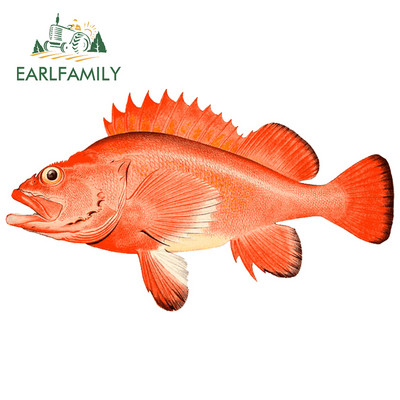 EARLFAMILY 13 cm x 7,1 cm Macskahal lakóautó-matrica Vinyl autómatricák Vízálló divatos okklúziós karcolás díszítéshez