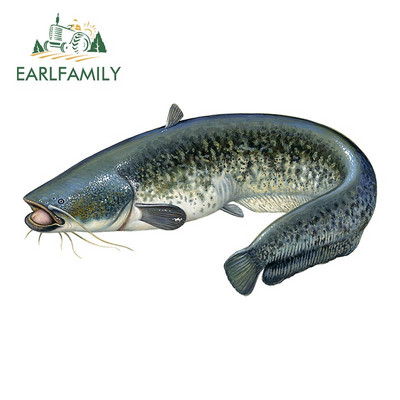 EARLFAMILY 13 cm x 7,1 cm Macskahal lakóautó-matrica Vinyl autómatricák Vízálló divatos okklúziós karcolás díszítéshez
