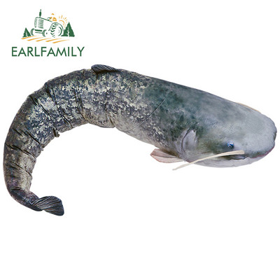 EARLFAMILY 13 cm x 7,1 cm Macskahal lakóautó-matrica Vinyl autómatricák Vízálló divatos okklúziós karcolás díszítéshez