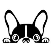 Boston terrier kutya vinil matrica aranyos vicces peep állat autó farok dekoratív matricák fekete/szilánk 15,2*10,8 cm