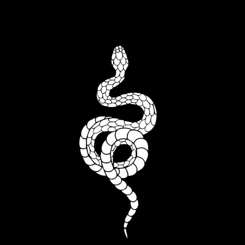 YJZT 6,7CM*16,3CM Προφυλακτήρας Horror Snake Δημιουργική διακόσμηση Αυτοκόλλητο αυτοκινήτου Vinyl Decal Μαύρο/Ασημί C4-1538