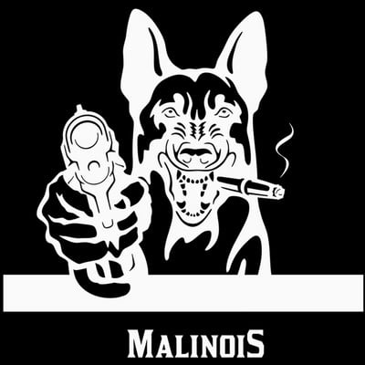 FUYOOHI Play matricák Belga malinois átlátszó vinyl matrica ablakhoz, mechelaar pásztorkutya jel művészeti matrica