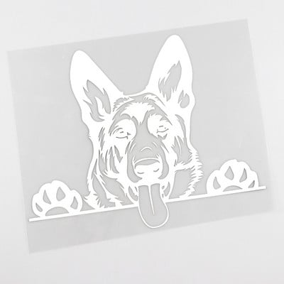 FUYOOHI Play matricák Belga malinois átlátszó vinyl matrica ablakhoz, mechelaar pásztorkutya jel művészeti matrica