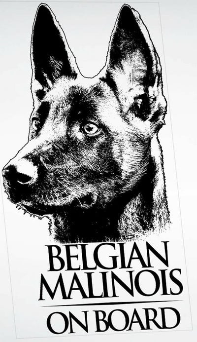 FUYOOHI Play matricák Belga malinois átlátszó vinyl matrica ablakhoz, mechelaar pásztorkutya jel művészeti matrica