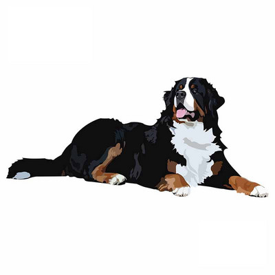 FUYOOHI Αστεία αυτοκόλλητα Εξωτερικά αξεσουάρ Cavalier King Charles Spaniel Αυτοκόλλητο αυτοκινήτου βινυλίου Graffiti Decal Decal KK