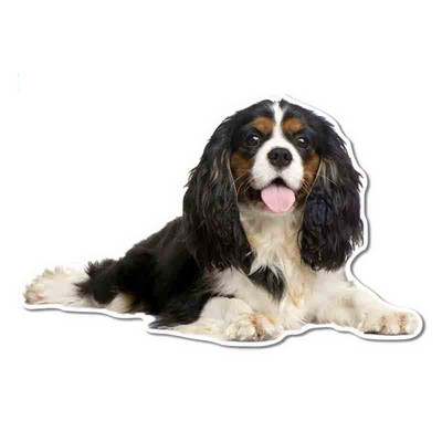 FUYOOHI Αστεία αυτοκόλλητα Εξωτερικά αξεσουάρ Cavalier King Charles Spaniel Αυτοκόλλητο αυτοκινήτου βινυλίου Graffiti Decal Decal KK