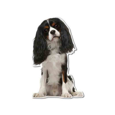 FUYOOHI Αστεία αυτοκόλλητα Εξωτερικά αξεσουάρ Cavalier King Charles Spaniel Αυτοκόλλητο αυτοκινήτου βινυλίου Graffiti Decal Decal KK