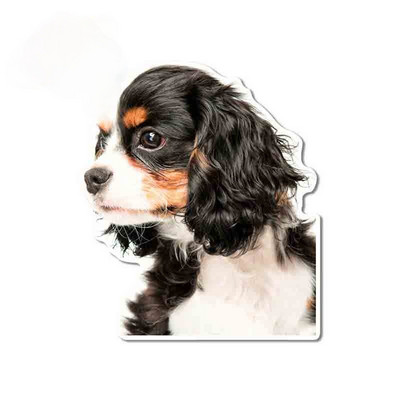 FUYOOHI Αστεία αυτοκόλλητα Εξωτερικά αξεσουάρ Cavalier King Charles Spaniel Αυτοκόλλητο αυτοκινήτου βινυλίου Graffiti Decal Decal KK