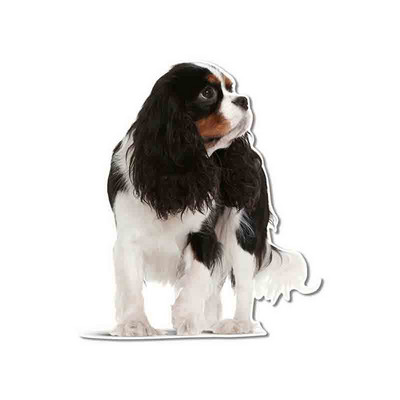FUYOOHI Αστεία αυτοκόλλητα Εξωτερικά αξεσουάρ Cavalier King Charles Spaniel Αυτοκόλλητο αυτοκινήτου βινυλίου Graffiti Decal Decal KK