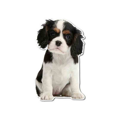 FUYOOHI Αστεία αυτοκόλλητα Εξωτερικά αξεσουάρ Cavalier King Charles Spaniel Αυτοκόλλητο αυτοκινήτου βινυλίου Graffiti Decal Decal KK