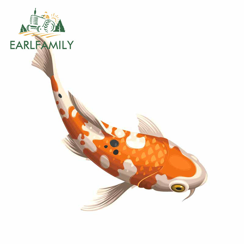 EARLFAMILY 13 cm-es Koi Fish Carpe Diem Tattoo Skull Personality Autómatricák Barkácsolás 3D RV ATV Graphics Dekorációs matrica