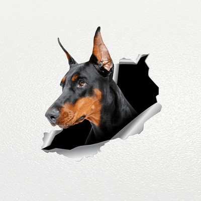 FUYOOHI Play matricák Doberman Kutya Kisállat Öntapadó PVC Matrica Autómatrica Autódíszekhez a lökhárító hátsó ablakos laptopon