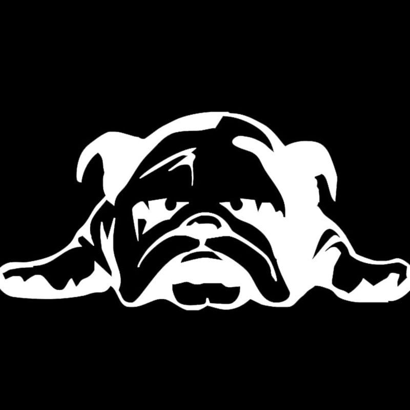 JuYouHui külső kiegészítők matrica Lovely angol bulldog fáradt kutya autó matrica dízel autó motorkerékpár vicces matricák