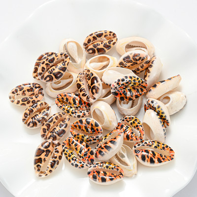 10/20/40 komada obojenih prirodnih morskih školjki školjke perle za pješčanu plažu Izrada nakita DIY Ogrlica Narukvica Dodaci