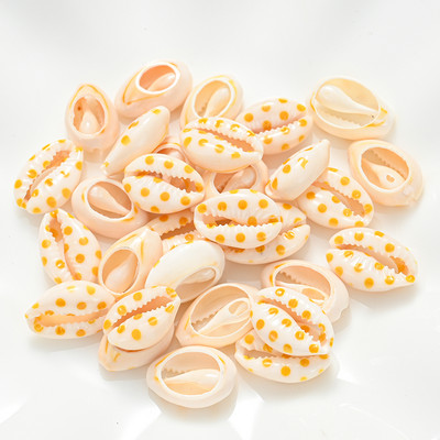 10/20/40 komada obojenih prirodnih morskih školjki školjke perle za pješčanu plažu Izrada nakita DIY Ogrlica Narukvica Dodaci
