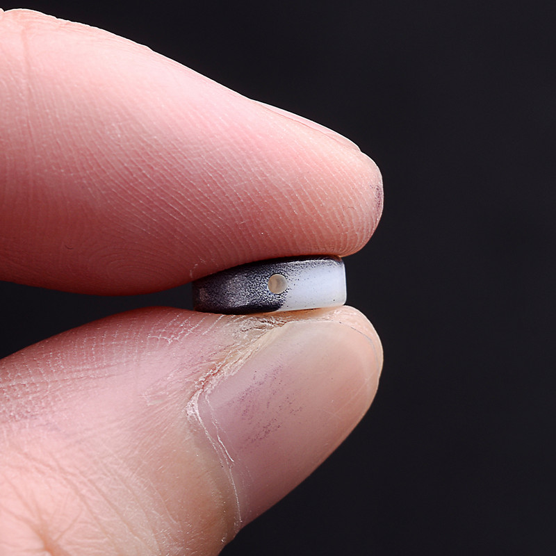 5kom Taichi perle od prirodne školjke, okrugle perle s razmakom za tračanje za izradu nakita DIY narukvica, ogrlica 8 mm 10 mm 12 mm 15 mm