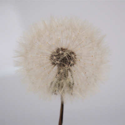 DIY Silikonski kalup od epoksidne smole Okrugla kugla Noćno svjetlo Silikonski kalup LED noćno svjetlo Nosač svjetiljke Boca Silikonski kalup Ručno izrađen