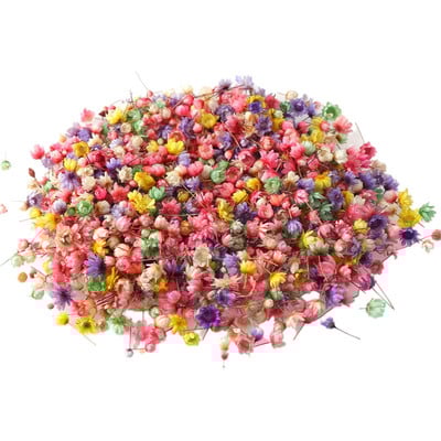 1 doboz szárított virágok UV gyanta dekoratív természetes száraz virág matricák 3D szépség matrica epoxi forma DIY kitöltés készítés kézműves